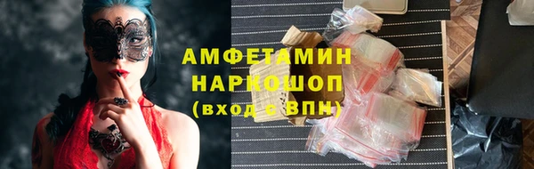шишки Богородицк