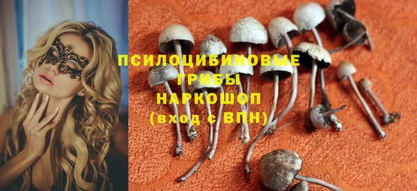 бошки Пересвет