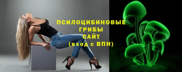 прущие грибы Балахна