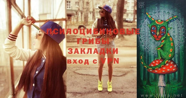индика Переславль-Залесский