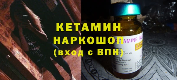 шишки Богородицк