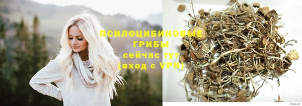 прущие грибы Балахна