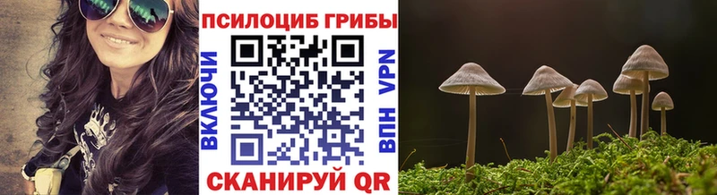 Псилоцибиновые грибы Magic Shrooms  Навашино 